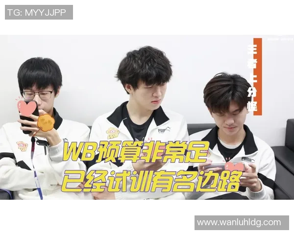 TES边路渗透策略分析：成功与失败的深度剖析与反思